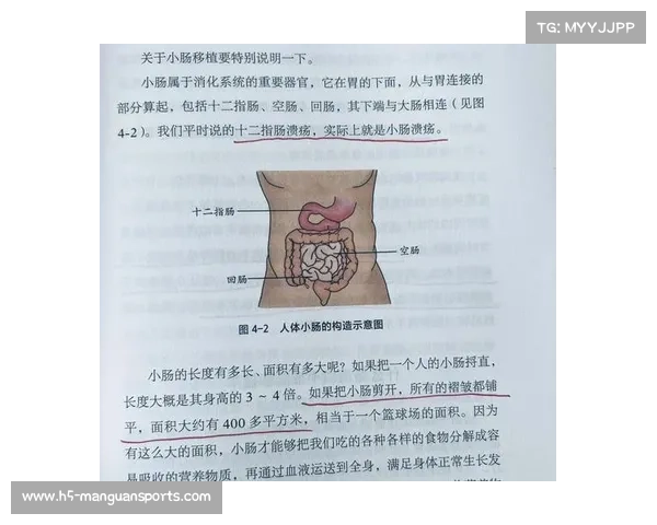 三体中女性角色塑造的缺失与不足探讨及其社会影响分析 三体中女性角色塑造的缺失与不足探讨及其社会影响分析